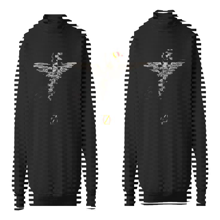 オズの魔法使い 空飛ぶ猿 スウェットシャツ