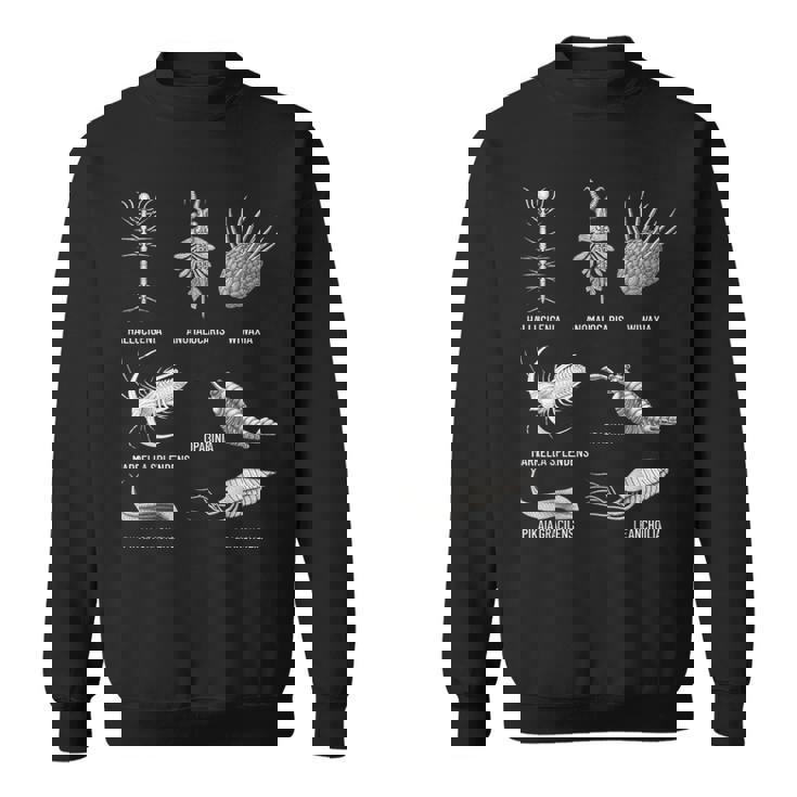 カンブリア紀 生き物 化石 古美術 進化 科学 恋人 スウェットシャツ