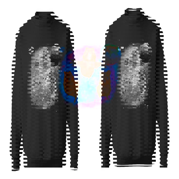 クオッカ、宇宙のクオッカ、オーストラリアの動物クオッカ スウェットシャツ