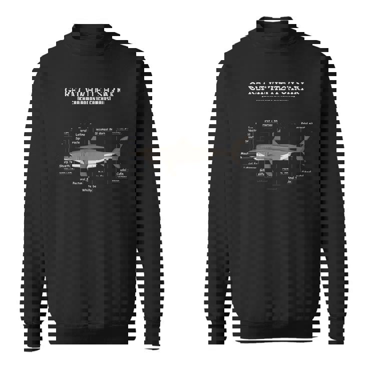 サメの解剖学解剖学者 スウェットシャツ