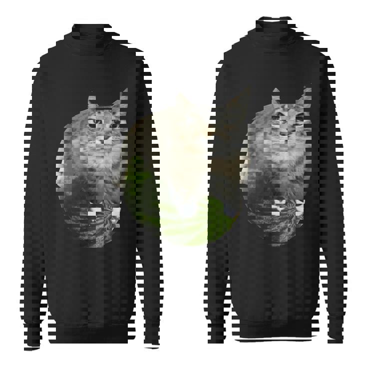 スイカ猫ミーム スウェットシャツ