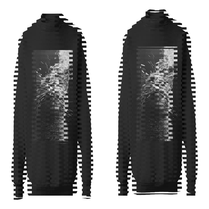 スモーキング 猫 ミーム 大人 ユーモア ノベルティ グラフィック スウェットシャツ