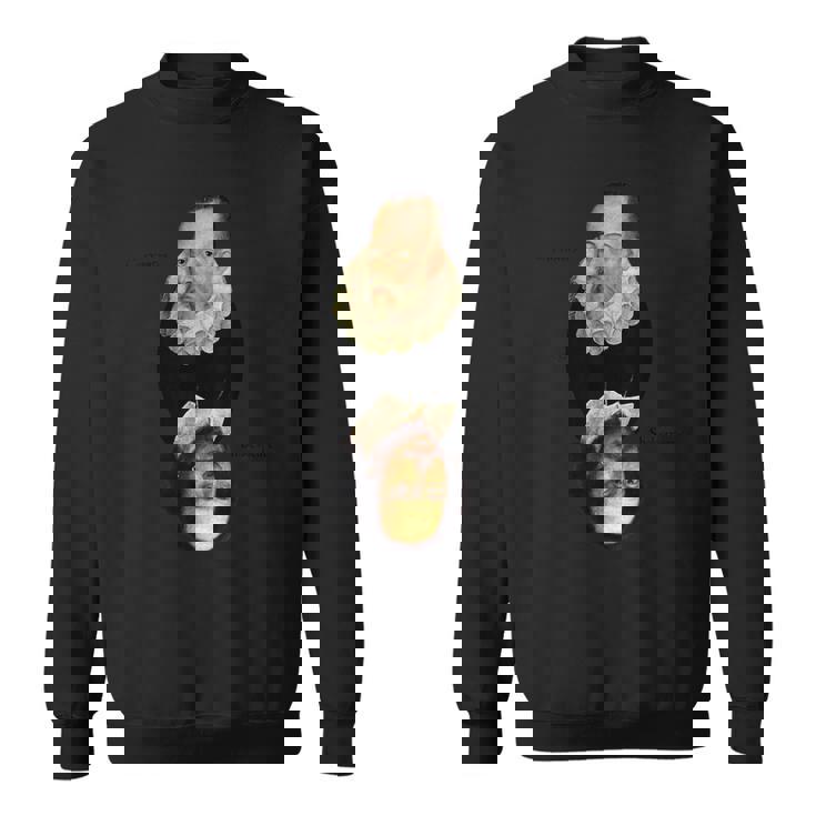 セルバンテス対シェイクスピア スウェットシャツ