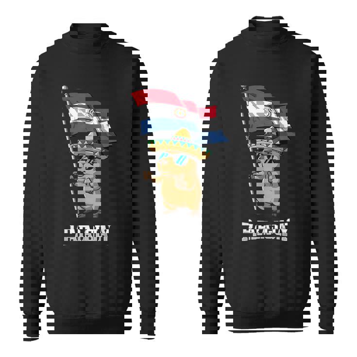 パラグアイ国旗 パラグアイのプライド スウェットシャツ