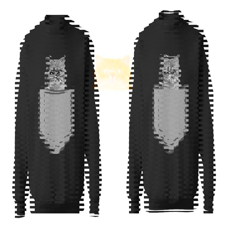 ファニーエキゾチックショートヘア猫 スウェットシャツ