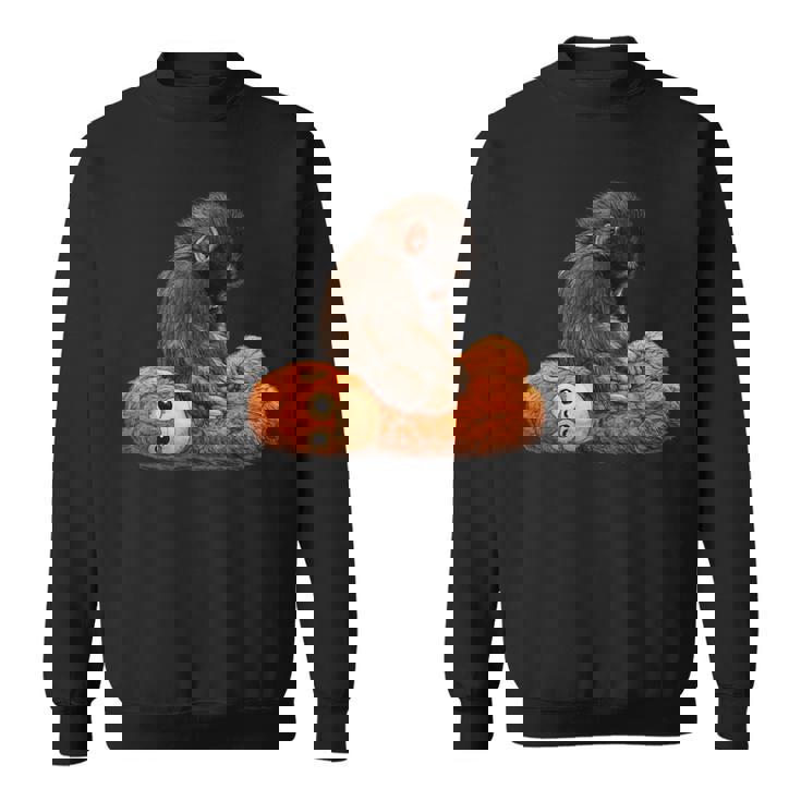 ベイビーモンキーパンチ スウェットシャツ