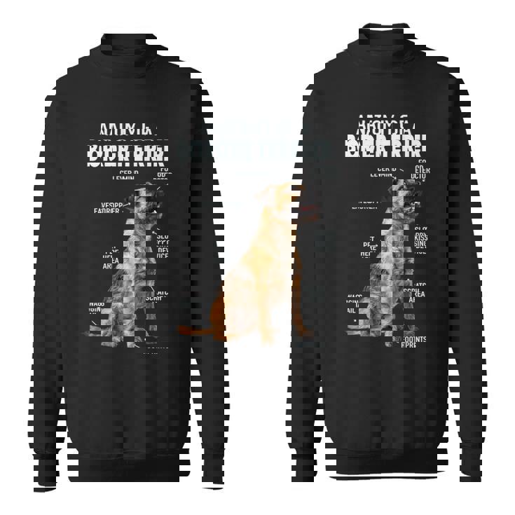 ボーダーテリアの解剖学 長袖tシャツ スウェットシャツ