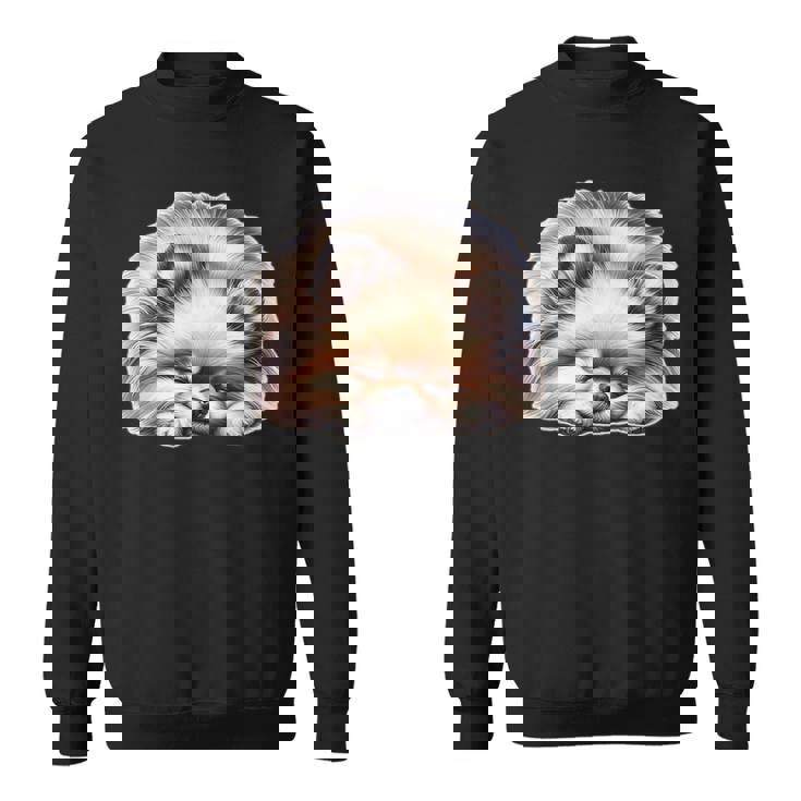 ポメラニアン × ポメラニアン 犬 寝ている スウェットシャツ