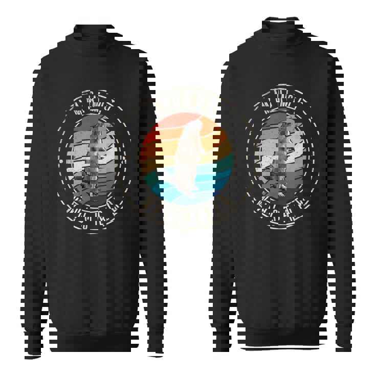 マーモット・ウィスパーラー スウェットシャツ