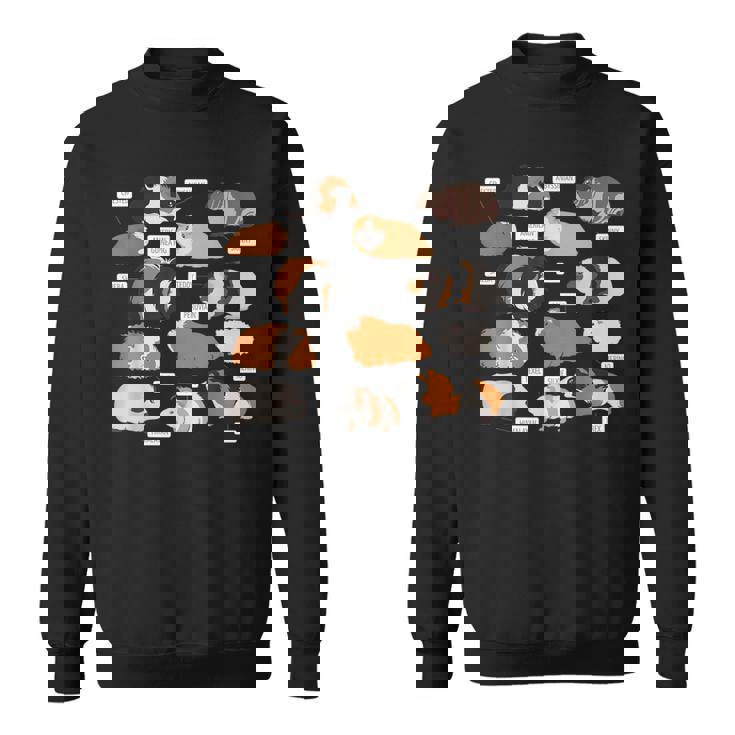 モルモット犬種シャツ スウェットシャツ