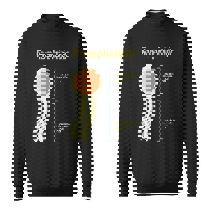 リン脂質 スウェットシャツ