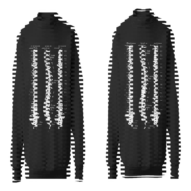 人間の脊椎解剖学カイロプラクティック図 スウェットシャツ