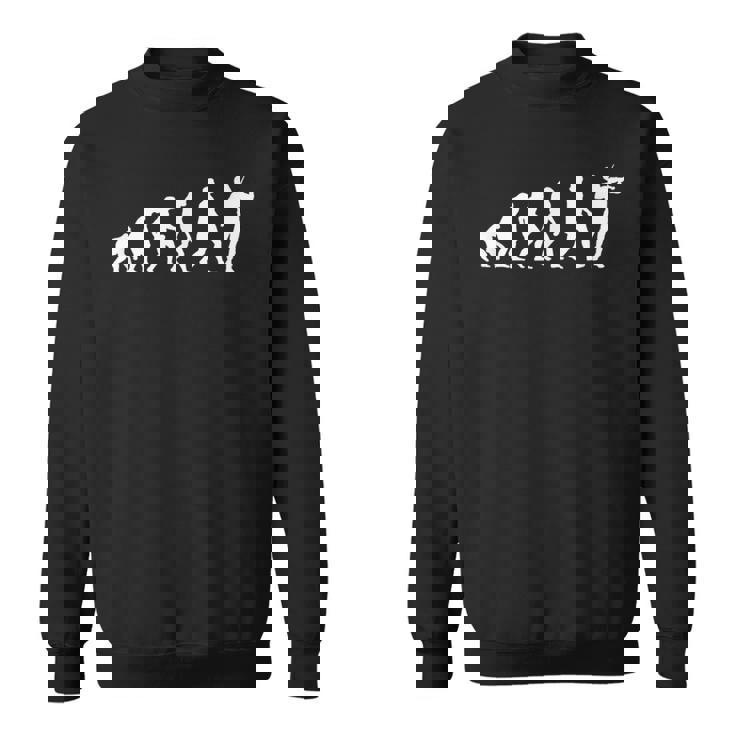 人類の進化 ネタ クラシック音楽 ヴァイオリニスト 音楽家 音楽好き おもしろ デザイン ヴァイオリン スウェットシャツ