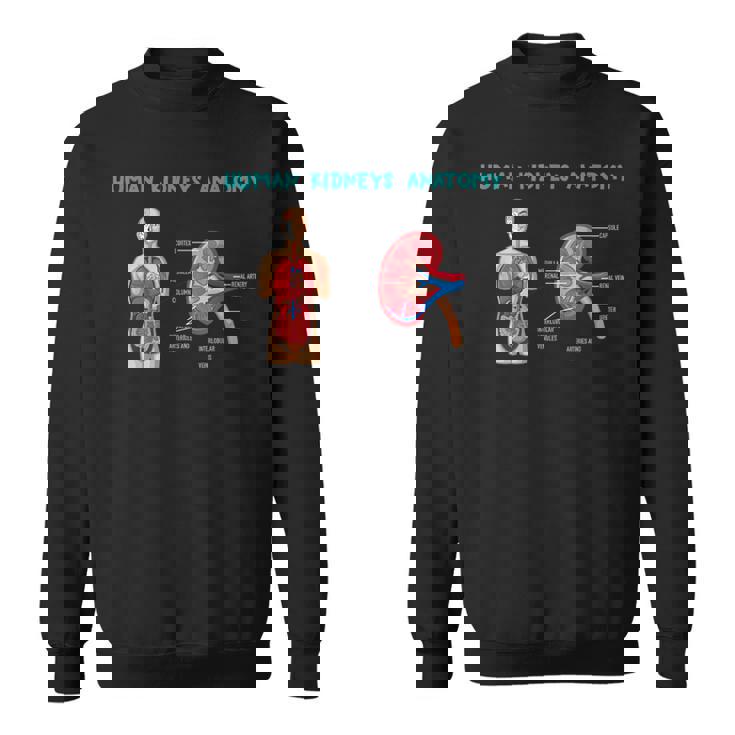 医療従事者のためのヒト腎臓の解剖学 スウェットシャツ