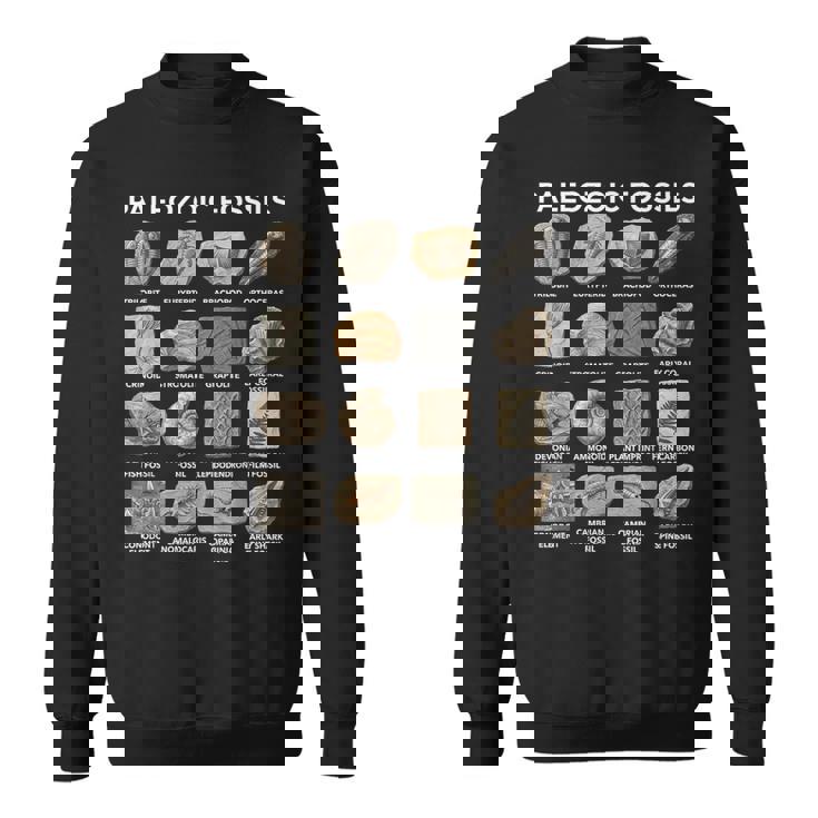 古生代化石チャート古生物学科学愛好家 スウェットシャツ