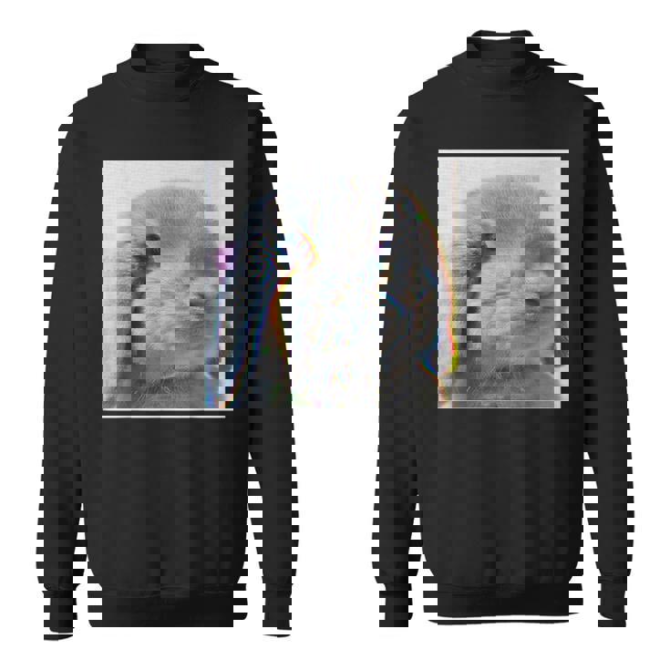 垂れ耳うさぎのレトロ写真 スウェットシャツ