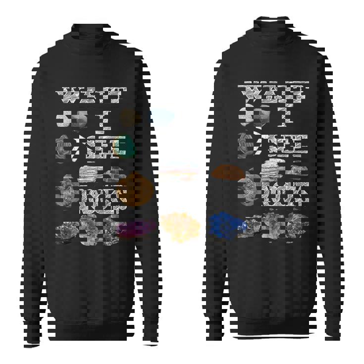 待って、Iee Rocks Rockhound Geology Rock Collection スウェットシャツ