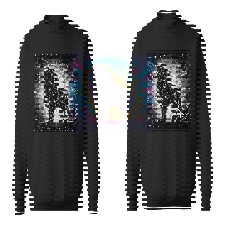 星柄 動物 天体 スウェットシャツ