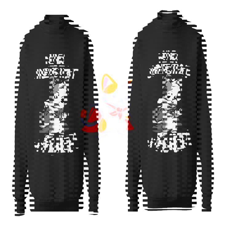 猫に言わせると、Don't Underestimate My Pawer Pun Cat（私の肉球を甘く見ないで）。 スウェットシャツ