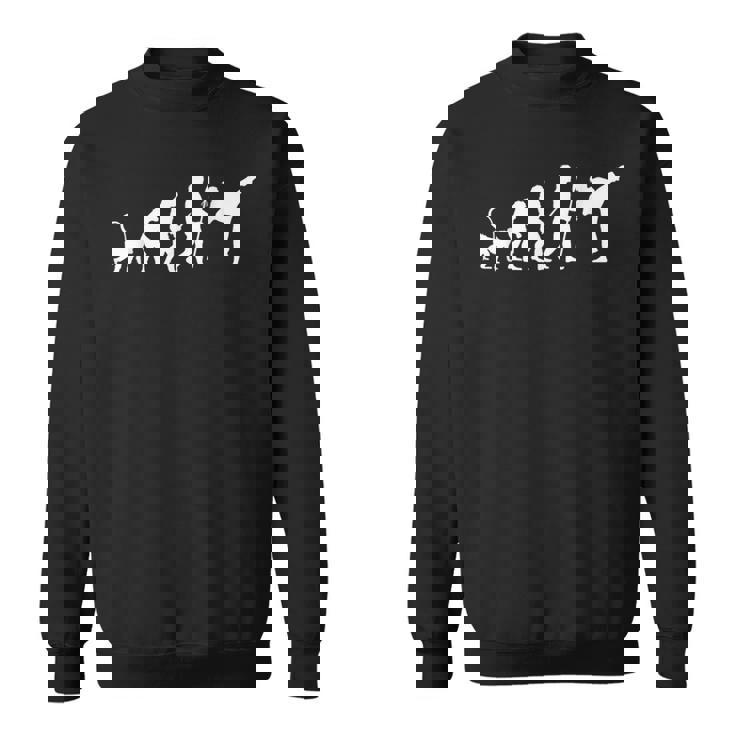 空手の進化 スウェットシャツ