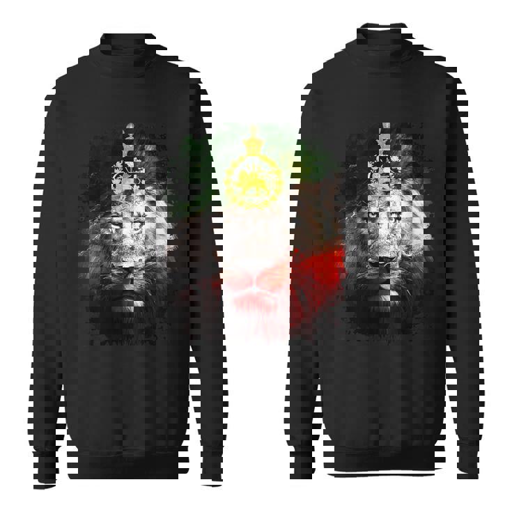 金色のライオンの頭が付いたイランの国旗。 スウェットシャツ