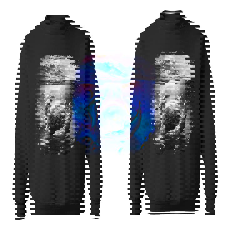 銀河 イルカ 宇宙 地球 海 スウェットシャツ