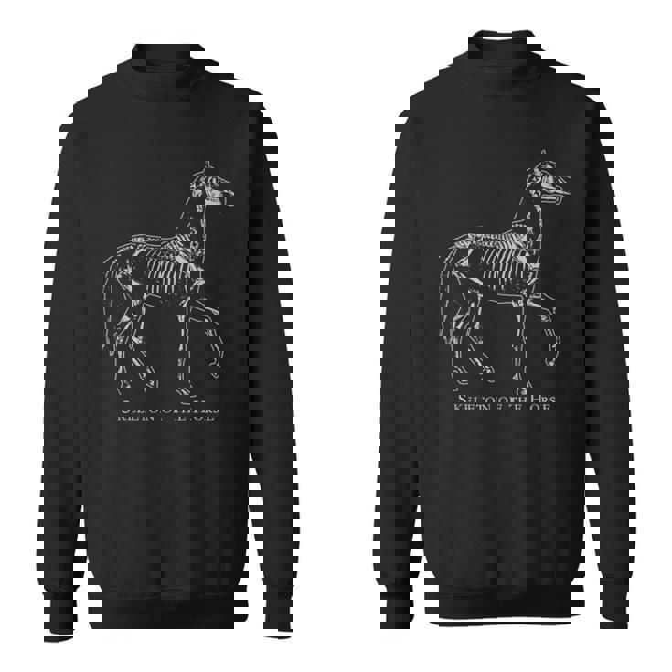 馬の骨格系 スタディ エクウス フェラス 馬の恋人 ビンテージ スウェットシャツ