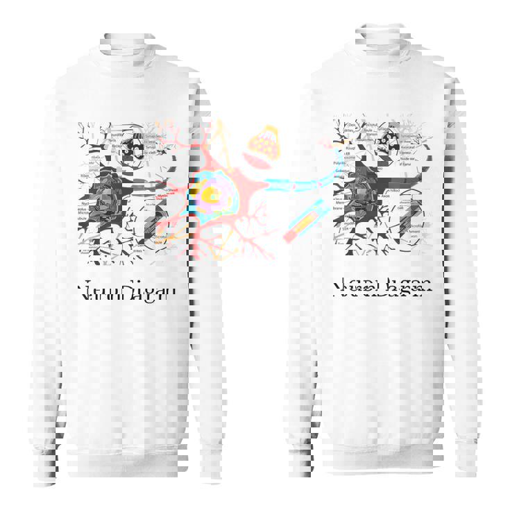 Diagrama De Neuronas Etiquetado Con Células Nerviosas Camisa de entrenamiento