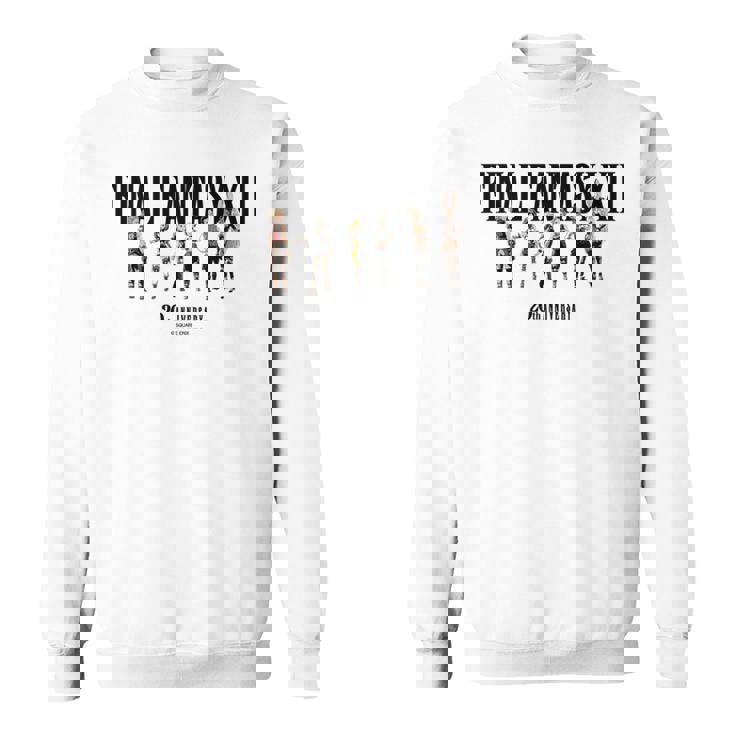 【公式】Final Fantasy アニバーサリーコレクション Ffxii スペシャルイラスト 長袖tシャツ スウェットシャツ