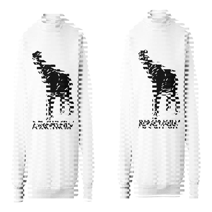 パラケラテリウム 絶滅動物 サイ 古生物学 スウェットシャツ