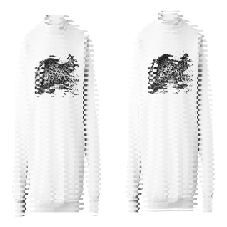 パームシベット アニマルプリント スウェットシャツ