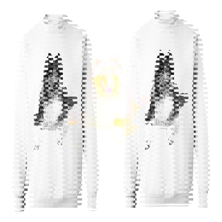 ラフ・コリー・トライ 長袖tシャツ スウェットシャツ