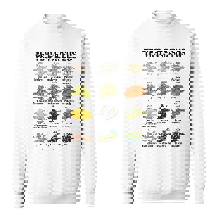 海洋ナメクジの種類科学海洋生物学チャート スウェットシャツ