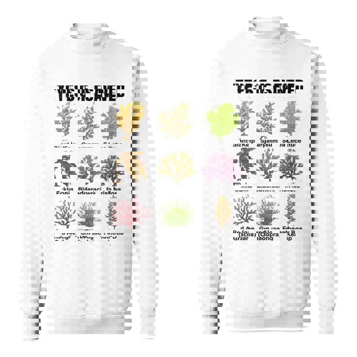 海藻の種類、海藻種チャート、海藻の種類 スウェットシャツ