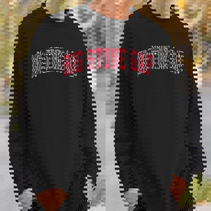 Bigtone Gap バージニアa ヴィンテージ スポーツデザイン レッドデザイン スウェットシャツ 彼への贈り物