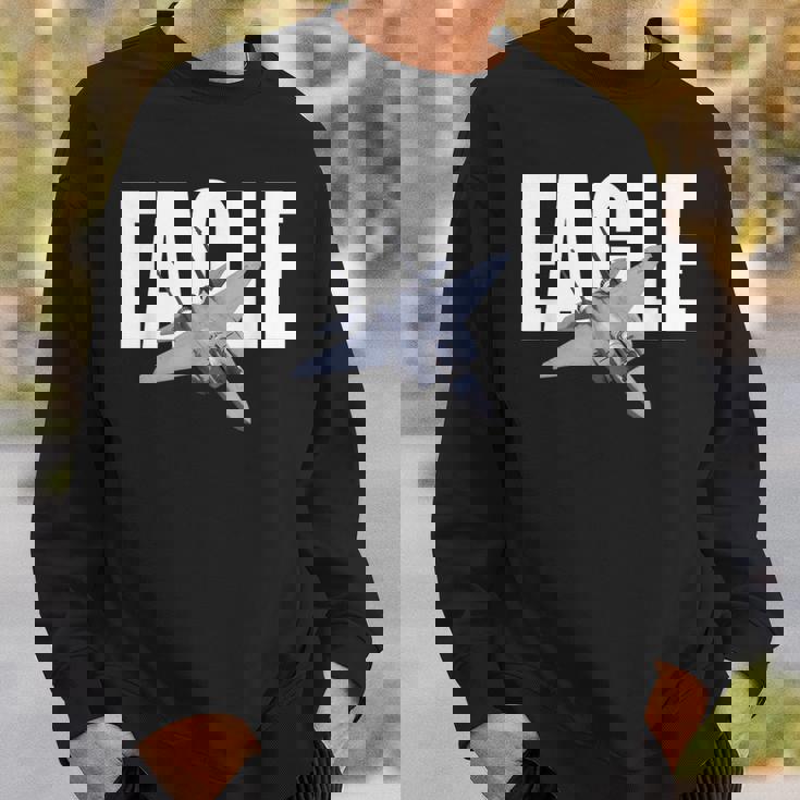 F-15 イーグル スウェットシャツ 彼への贈り物