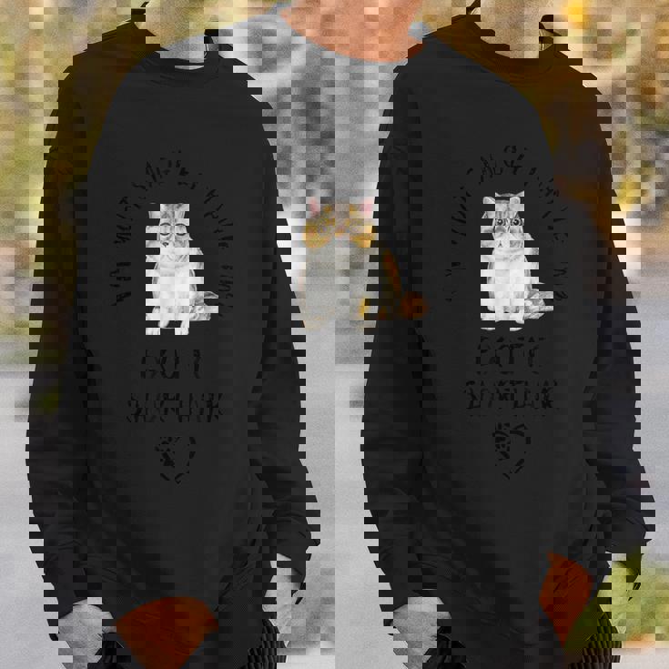 I'm Notingle I Have My Exotichorthairalentine's Day ネコ スウェットシャツ 彼への贈り物