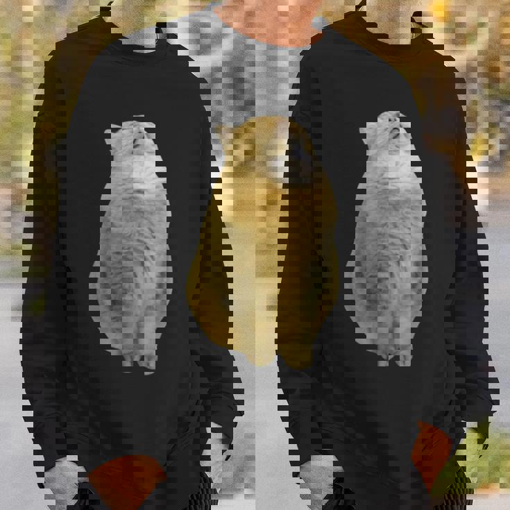 Meme Yellow Cat leep Internetiral スウェットシャツ 彼への贈り物