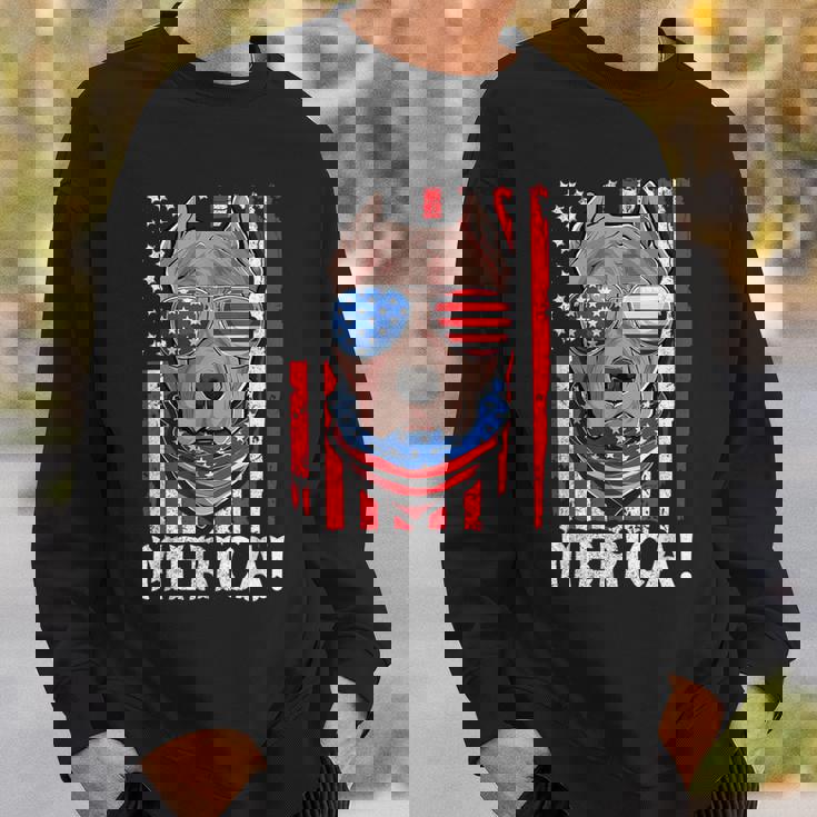 Pit-Bull Usa 愛国的な犬服 アメリカ国旗 メンズ スウェットシャツ 彼への贈り物