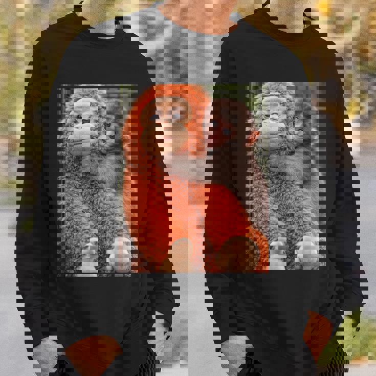 Punch The Monkey Meme X Ape Cute Punch Monkey Baby Meme スウェットシャツ 彼への贈り物