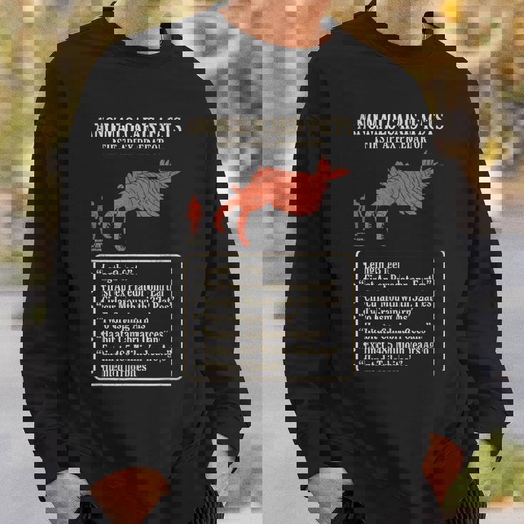 アノマロカリス 事実 最初の頂点捕食者 カンブリア紀 古生物 化石 科学 学習 進化 歴史 海洋 比較 スウェットシャツ 彼への贈り物