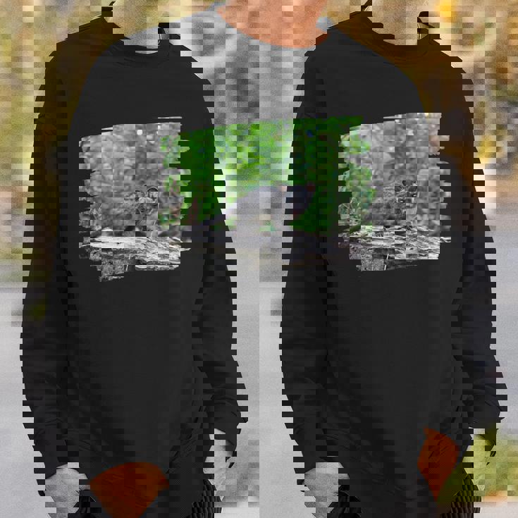 アフリカンパームシベット スウェットシャツ 彼への贈り物