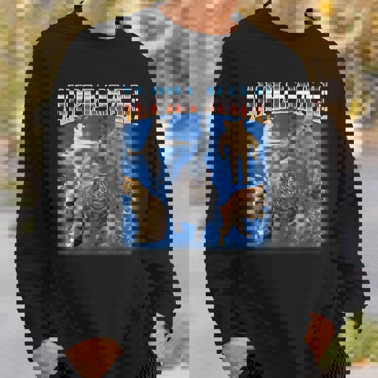 アルファ 男性 面白い ジョーク ミーム 大人 ユーモア 猫 ミーム スウェットシャツ 彼への贈り物