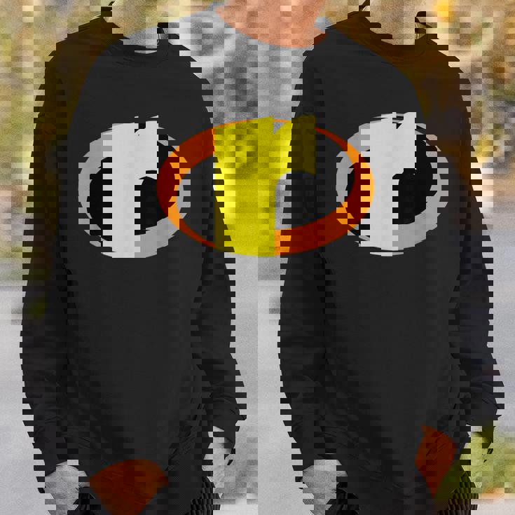 インクレディブル レター R アルファベット スーパーヒーロー キッズ ファミリー スウェットシャツ 彼への贈り物