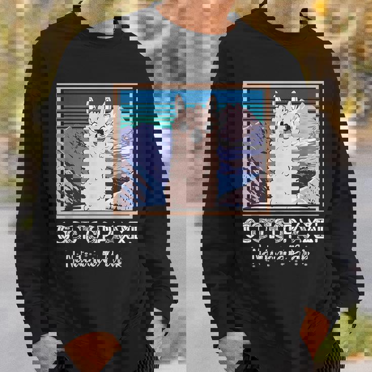 エクアドル山脈コトパクシ国立公園のかわいいラマ スウェットシャツ 彼への贈り物