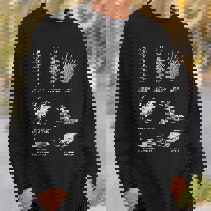 カンブリア紀 生き物 化石 古美術 進化 科学 恋人 スウェットシャツ 彼への贈り物