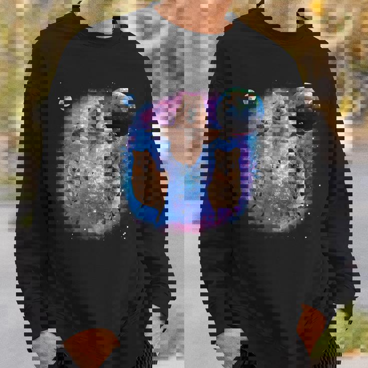 クオッカ、宇宙のクオッカ、オーストラリアの動物クオッカ スウェットシャツ 彼への贈り物