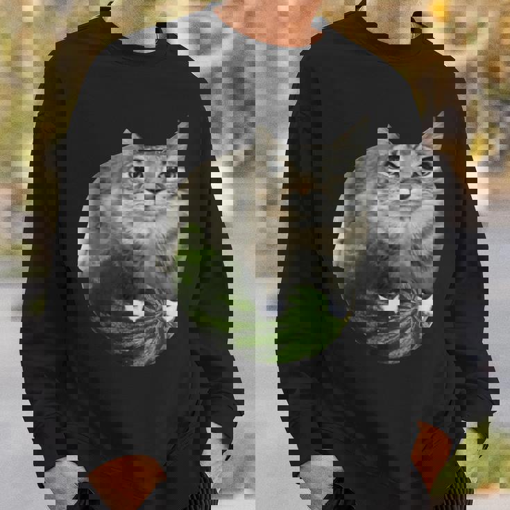 スイカ猫ミーム スウェットシャツ 彼への贈り物