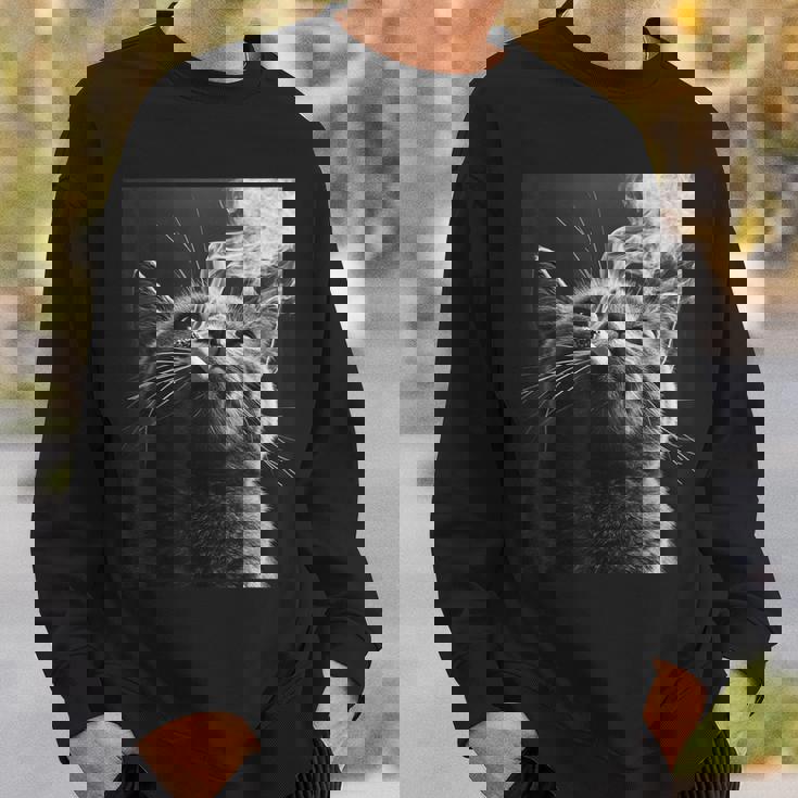 スモーキング 猫 ミーム 大人 ユーモア ノベルティ グラフィック スウェットシャツ 彼への贈り物