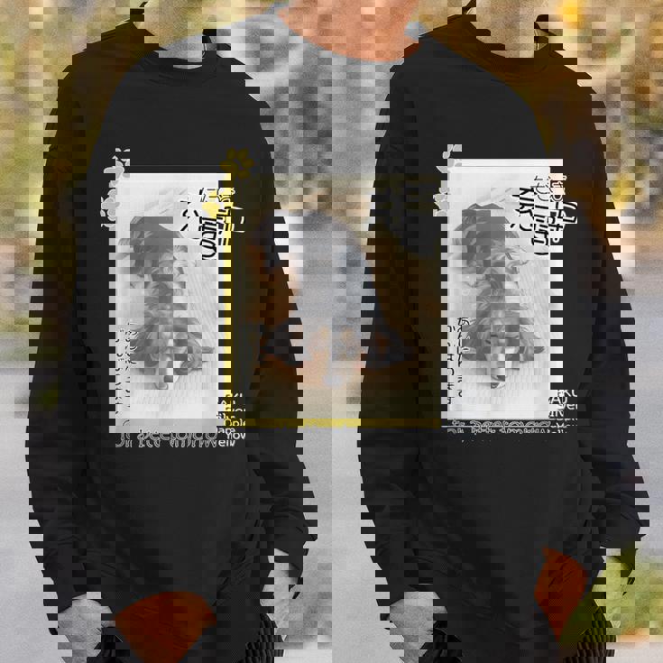 ダックス ミニチュアダックス シルバーダップル らく 充電中 明日がんばる 犬 スウェットシャツ 彼への贈り物